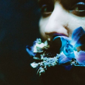 Circuit Des Yeux - Reaching For Indigo in der Gruppe VINYL / Pop-Rock bei Bengans Skivbutik AB (2560865)