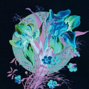 Karjalainen Hannu - A Handful Of Dust Is A Desert in der Gruppe CD bei Bengans Skivbutik AB (2561187)