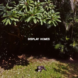 Display Homes - Climate Change in der Gruppe VINYL bei Bengans Skivbutik AB (2561227)