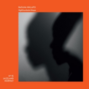 Nhlapo Bafana - Ngikhumbule Kenya in der Gruppe CD bei Bengans Skivbutik AB (2572364)