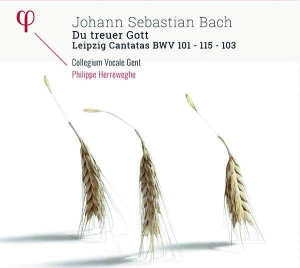 Bach J S - Du Treuer Gott: Leipzig Cantatas Bw in der Gruppe CD bei Bengans Skivbutik AB (2590630)