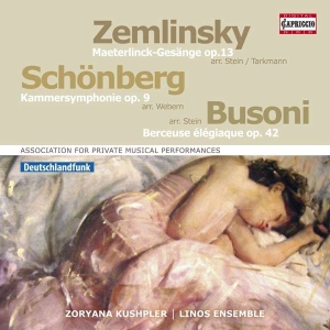 Zemlinsky Alexander Schoenberg A - Orchestral Songs in der Gruppe CD / Klassiskt bei Bengans Skivbutik AB (2607678)
