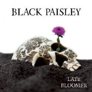 Black Paisley - Late Bloomer in der Gruppe VINYL bei Bengans Skivbutik AB (2618070)
