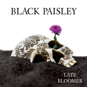 Black Paisley - Late Bloomer in der Gruppe VINYL bei Bengans Skivbutik AB (2618070)