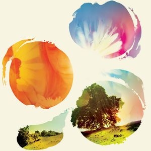 Tycho - Past Is Prologue in der Gruppe Minishops / Tycho bei Bengans Skivbutik AB (2620507)
