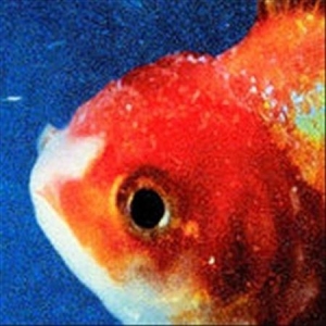 Vince Staples - Big Fish Theory in der Gruppe CD bei Bengans Skivbutik AB (2637952)