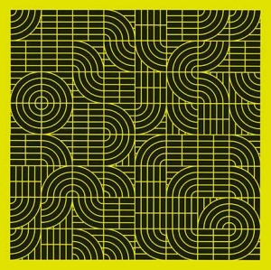 Momus - Pubic Intellectual: An Antholog in der Gruppe VINYL / Pop-Rock bei Bengans Skivbutik AB (2645512)