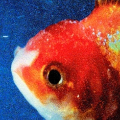 Vince Staples - Big Fish Theory (Picture disc) in der Gruppe VINYL bei Bengans Skivbutik AB (2657171)