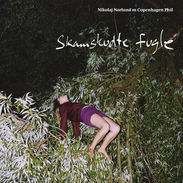 Nikolaj Nørlund / Copenhagen Phil - Skamskudte Fugle in der Gruppe CD / Bestseller bei Bengans Skivbutik AB (2663992)