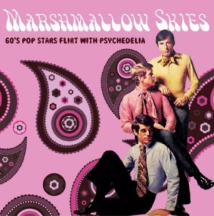 Various Artists - Marshmallow Skies (60's Pop Stars F in der Gruppe CD bei Bengans Skivbutik AB (2674332)