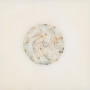 Kestner Lotte - Off White in der Gruppe CD bei Bengans Skivbutik AB (2714594)