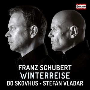 Schubert Franz - Winterreise in der Gruppe CD bei Bengans Skivbutik AB (2728259)