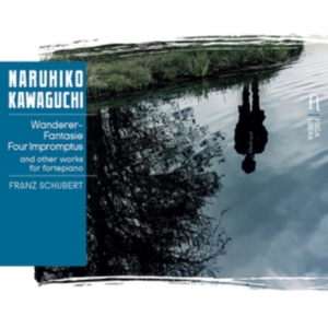 Liszt Franz Schubert Franz - Piano Works in der Gruppe CD bei Bengans Skivbutik AB (2728270)