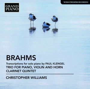 Brahms Johannes - Transcriptions For Solo Piano (By K in der Gruppe CD bei Bengans Skivbutik AB (2728299)