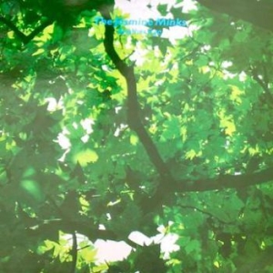 Jasmine Minks - Another Age in der Gruppe VINYL bei Bengans Skivbutik AB (2728666)