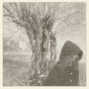 Lankum - Between The Earth And Sky in der Gruppe VINYL / Rock bei Bengans Skivbutik AB (2765592)