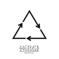 Solefald - Neonism in der Gruppe VINYL bei Bengans Skivbutik AB (2788303)