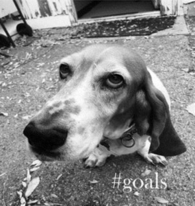 Goals - Goals in der Gruppe CD bei Bengans Skivbutik AB (2788458)