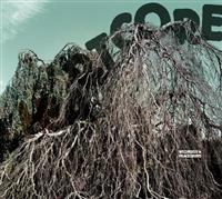 Wildbirds & Peacedrums - Heartcore in der Gruppe CD bei Bengans Skivbutik AB (2788531)