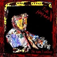 Wilson Matt - An Attitude For Gratitude in der Gruppe CD / Jazz bei Bengans Skivbutik AB (2813427)