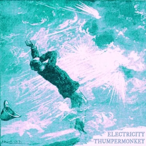 Thumpermonkey - Electricity in der Gruppe CD bei Bengans Skivbutik AB (2813489)
