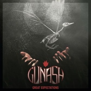 Gunash - Great Expectations in der Gruppe VINYL bei Bengans Skivbutik AB (2822261)