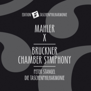 Bruckner Anton Mahler Gustav - Chamber Symphony in der Gruppe CD bei Bengans Skivbutik AB (2822282)