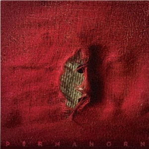 Permahorn - My Blood Carries My Dreams Away in der Gruppe CD bei Bengans Skivbutik AB (2851466)