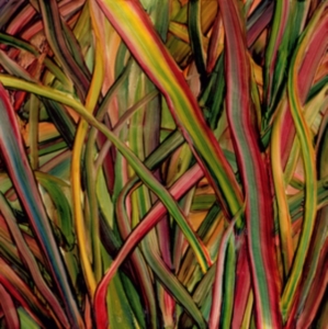 Gengahr - Where Wilderness Grows in der Gruppe UNSERE TIPPS / Klassiska lablar / PIAS Recordings bei Bengans Skivbutik AB (2851568)