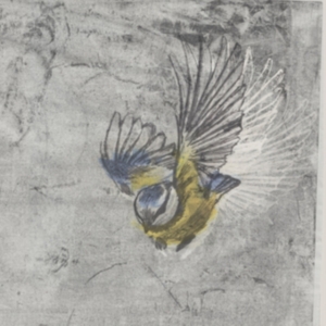 Mésange - Heliotrope in der Gruppe VINYL bei Bengans Skivbutik AB (2881809)