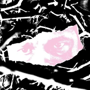 Pye Corner Audio - Where Things Are Hollow in der Gruppe VINYL bei Bengans Skivbutik AB (2881826)