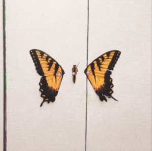 Paramore - Brand New Eyes in der Gruppe VINYL bei Bengans Skivbutik AB (2887058)