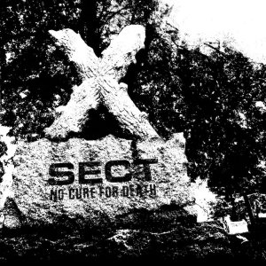 Sect - No Cure For Death in der Gruppe VINYL bei Bengans Skivbutik AB (2887509)