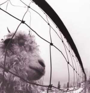 Pearl Jam - Vs. -Expanded/Digi- in der Gruppe CD bei Bengans Skivbutik AB (2888449)