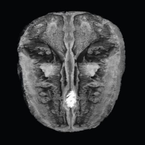 Irmler/Oesterhelt - Die Gesänge Des Maldoror in der Gruppe VINYL bei Bengans Skivbutik AB (2888511)