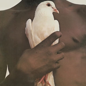 Santana - Greatest Hits (1974) in der Gruppe Minishops / Santana bei Bengans Skivbutik AB (2896205)