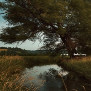 S. Carey - Hundred Acres in der Gruppe CD bei Bengans Skivbutik AB (2998297)