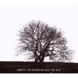Mr David Viner - Among The Rumours And The R in der Gruppe CD bei Bengans Skivbutik AB (2998361)