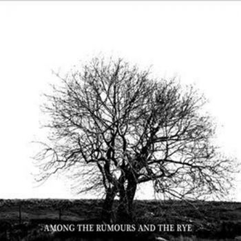 Mr. David Viner - Among The Rumours And The R in der Gruppe CD / Country bei Bengans Skivbutik AB (2998361)