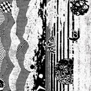 Nightcrawlers - Biophonic Boombox Recordings in der Gruppe VINYL bei Bengans Skivbutik AB (3000888)