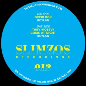 Boylan - Overlook in der Gruppe VINYL bei Bengans Skivbutik AB (3000995)