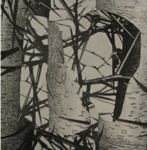 Femme - Chroma in der Gruppe VINYL bei Bengans Skivbutik AB (3000996)