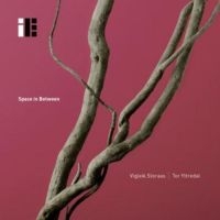 Storaas Vigleik & Tor Yttredal - Space In Between in der Gruppe CD bei Bengans Skivbutik AB (3001037)