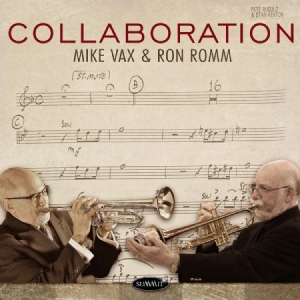 Vax Mike & Ron Romm - Collaboration in der Gruppe CD bei Bengans Skivbutik AB (3013741)