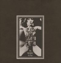 Felt - Splendour Of Fear in der Gruppe VINYL / Bestseller bei Bengans Skivbutik AB (3013970)