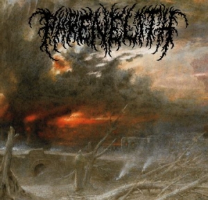 Phrenelith - Desolate Endscape in der Gruppe VINYL bei Bengans Skivbutik AB (3015630)