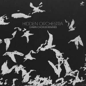Hidden Orchestra - Dawn Chorus Remixes in der Gruppe VINYL / Dance-Techno bei Bengans Skivbutik AB (3015836)
