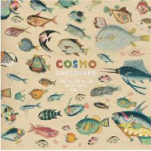 Cosmo Sheldrake - Much Much How How And I in der Gruppe CD bei Bengans Skivbutik AB (3019931)