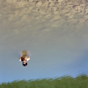 Nadine - Oh My in der Gruppe CD bei Bengans Skivbutik AB (3025140)