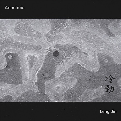 Anechoic - Leng Jin in der Gruppe CD / Rock bei Bengans Skivbutik AB (3034504)
